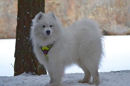 Areon You are on Fleek