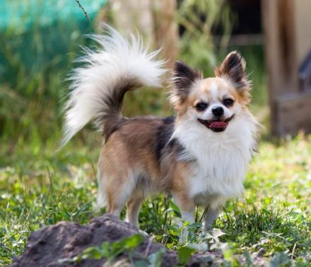 von der Palmengrotte