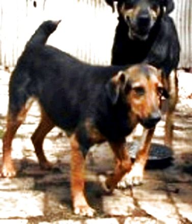 FELÖSKE -  OMA AUF DER SUCHE NACH LIEBE!