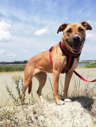 SUNNY - DER NAME IST PROGRAMM! (mit Video!)