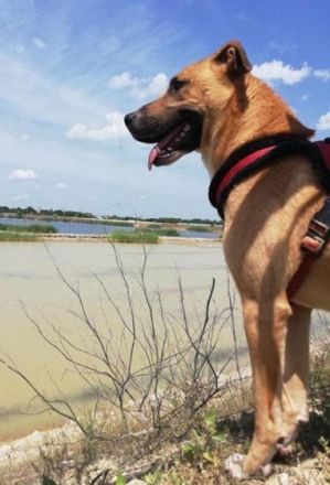 SUNNY - DER NAME IST PROGRAMM! (mit Video!)