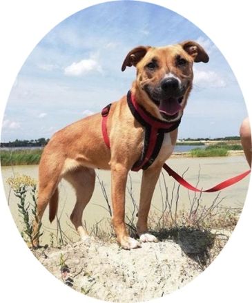 SUNNY - DER NAME IST PROGRAMM! (mit Video!)