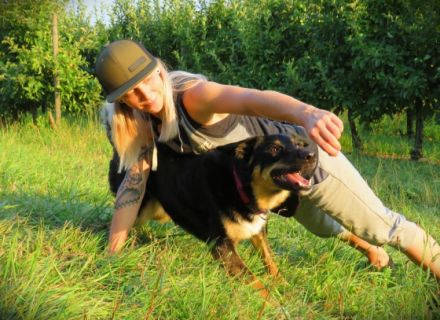 Lake Dog Hundeschule