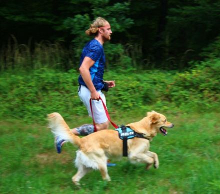 Lake Dog Hundeschule