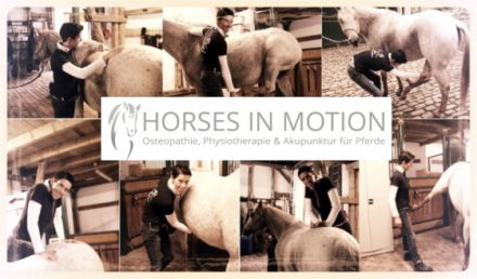 HORSES IN MOTION