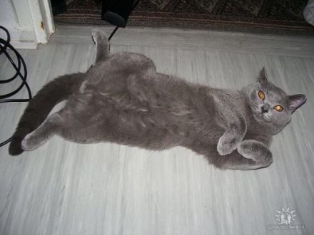 Quirly from Evermind