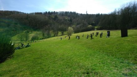 Hundesportverein am Goldberg e.V.