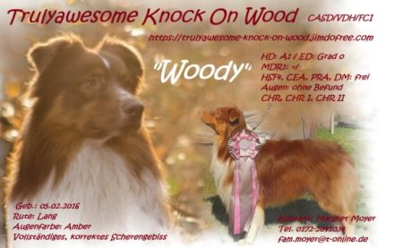 Trulyawesome Knock On Wood