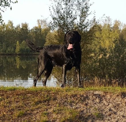 Once in a Lifetime Fast and Furious - Marley