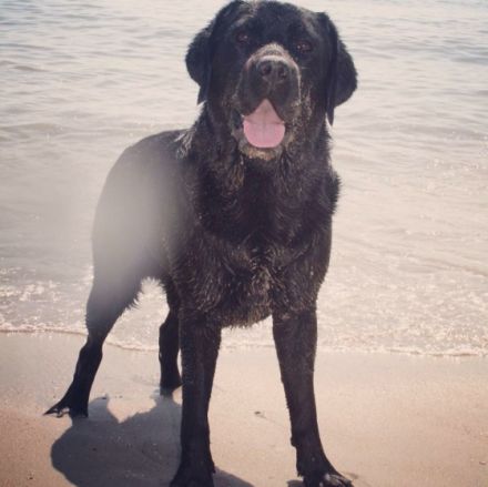 Once in a Lifetime Fast and Furious - Marley