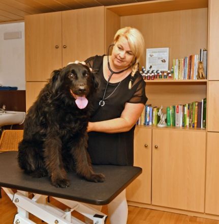 Tierheilpraxis Tierisch gut Weilheim Teck