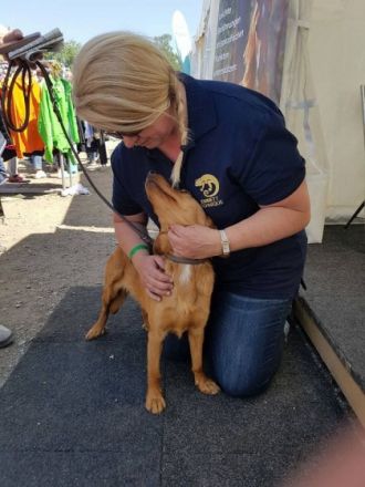 Tierheilpraxis Tierisch gut Weilheim Teck