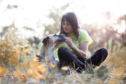 HERZ - HundeERziehungsZentrum