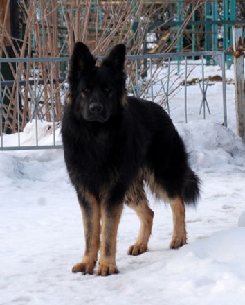 vom Ostdeutschen Eck