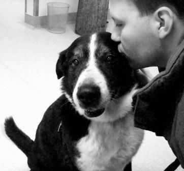 Sören Schnabel Dogsitting