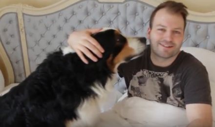 Sören Schnabel Dogsitting