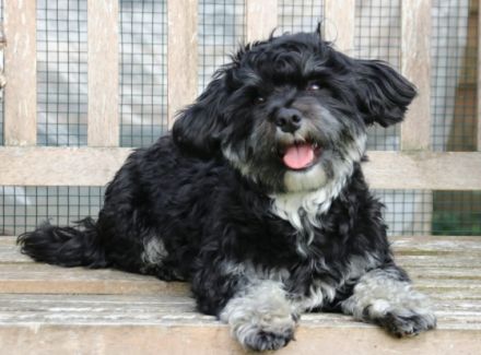 Gucci von den lustigen Kobolden