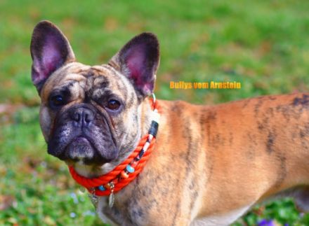 Hitch Angels & Devils