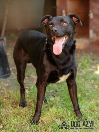 Name: Fredy Aufenthaltsort: Pflegestelle in der