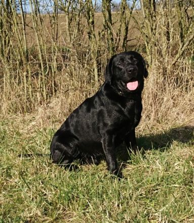 Joyful Soul Kobe von Wetterau