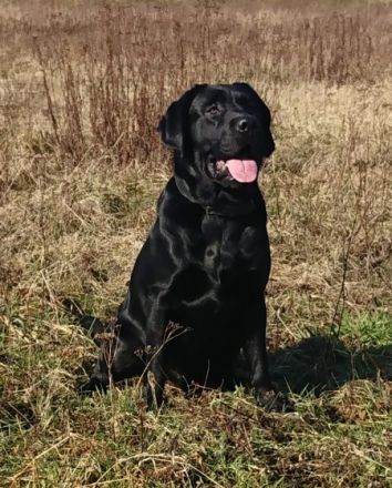 Joyful Soul Kobe von Wetterau