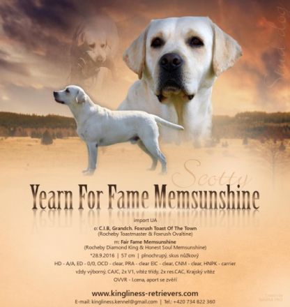 Yearn For Fame Memsunshine