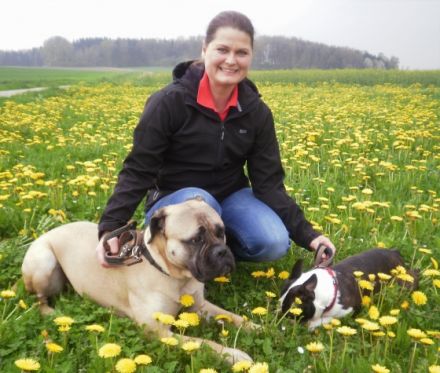 Tierheilpraxis HuKaPf® für Homöopathie & Tierpsychologie Neu-Ulm / Ulm - Christine Stiff