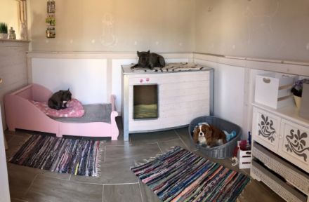 Pension Wunderhund , Hundepension