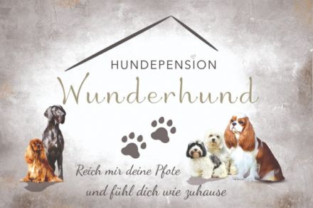 Pension Wunderhund , Hundepension