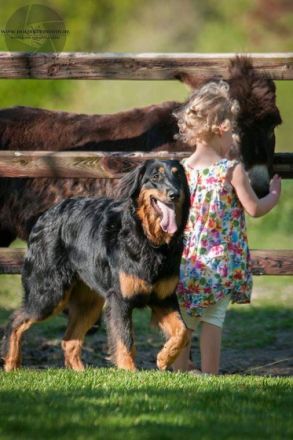 Nathalies Hovi Rudel