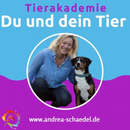 Online Vermisste Tiere Spezial Seminar