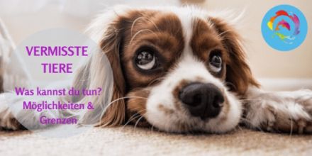 Online Vermisste Tiere Spezial Seminar