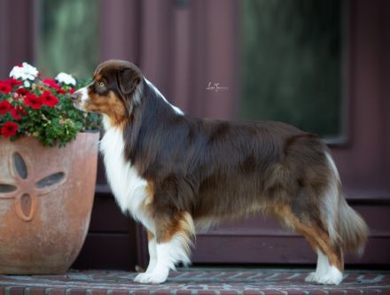 Weecks Secret Message Mason DNA-VP