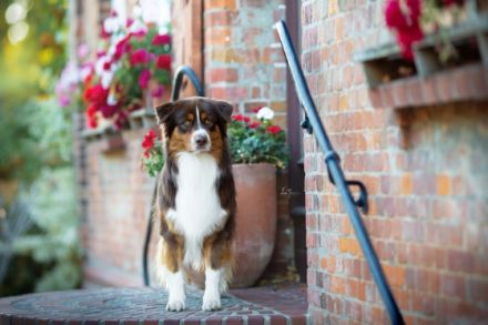 Weecks Secret Message Mason DNA-VP