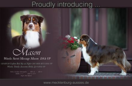 Weecks Secret Message Mason DNA-VP