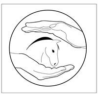 Mobile Pferdeheilpraxis Stephanie Schilder