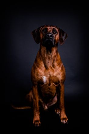 Amani Aziz of Mekanila