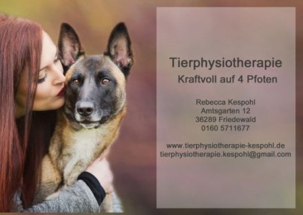 Tierphysiotherapie Kraftvoll auf 4 Pfoten