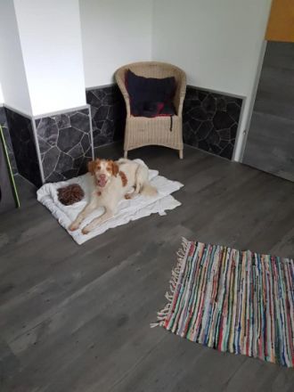 Hundepension Canis Lupus GbR