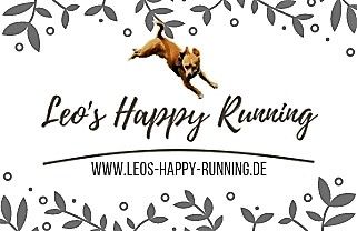 Tierphysiotherapie Leo's Happy Running/Susanne Lüke