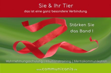 Basisseminar Tierkommunikation - weil Verstehen die Basis ist ! 04.05.24