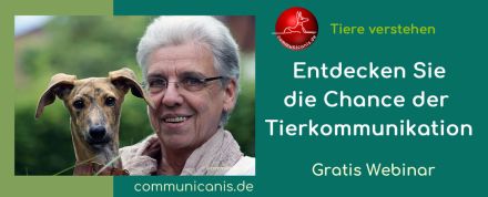 Die Chance der Tierkommunikation erkennen & nutzen  kostenfrei & online 12.06.25