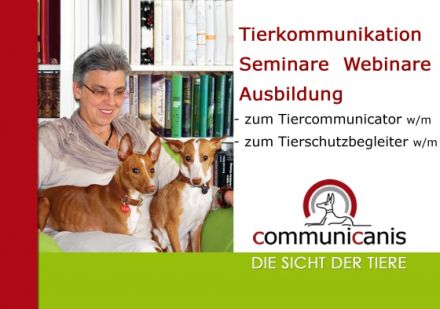 Problemverhalten ? Ihr Tier kennt die Lösung ! 30.08.24