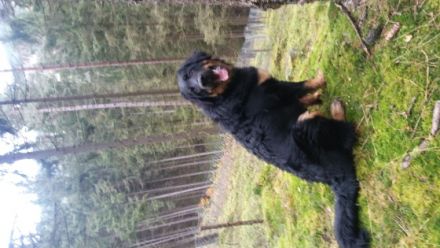 Ulan a.d. Schreckhäusl