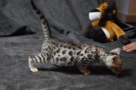 aus dem Sommerviertel