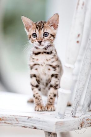 aus dem Sommerviertel