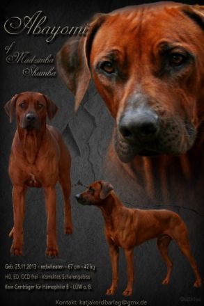 MCh. Abayomi of Mudzimba Shumba