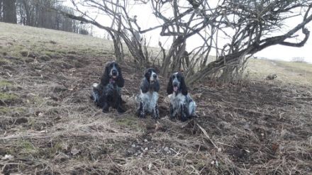 vom Haus am Österberg