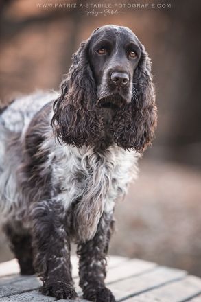 vom Haus am Österberg