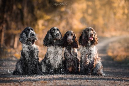 vom Haus am Österberg